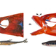 Image for article titled Genetic Analysis Shows That Fin-Eating Fish Are Complete Assholes